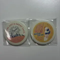 ジブリ 缶バッジ 2個セット