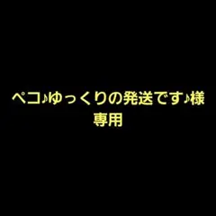 ペコ♪ゆっくりの発送です♪様専用 ＊ リクエスト 2点 まとめ商品