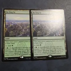 バーシンセー２枚セット