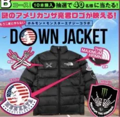 激レア　マキシマム ザ ホルモン　Monster　クーラーボックス　非売品 激レア マキシマム ザ ホルモン Monster クーラーボックス