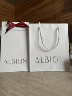 ALBION ショップ袋 2枚セットのサムネイル