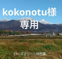 kokonotu様 リクエスト 3点 まとめ商品