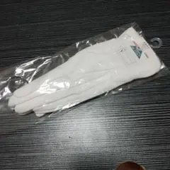 Item thumbnail for item 1359e75e-71cf-415c-90fb-05d690b810e7