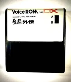 2026年最新】dx7 romの人気アイテム - メルカリ