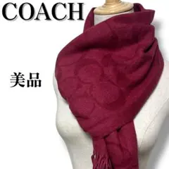 2025年最新】コーチ マフラー 赤の人気アイテム - メルカリ