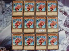 北米版 魔轟神獣 ケルベラル DT スーパー 遊戯王 海外 英語 米 Amazon.co.jp: 遊戯王カード-デュエルターミナル- 魔轟神獣ケルベラル