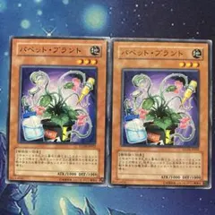 パペットプラント STON ノーマル 2枚セット