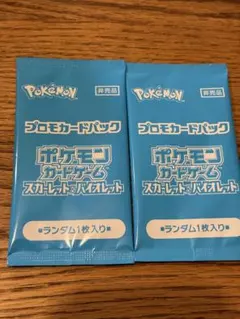 夏ポケカ 未開封 2枚セット ポケモンカード プロモ ポケカの夏がキタ スカバイ
