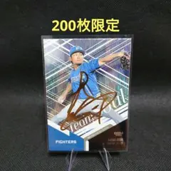 2025 BBM 2nd 伊藤大海 200枚限定パラレル