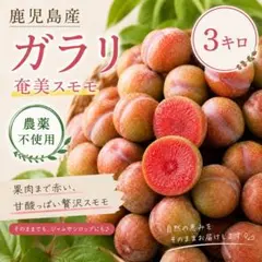 幻の露茜‼️超大玉5L.4Lサイズ 2kg ルビー色の梅酒・梅シロップ - メルカリ