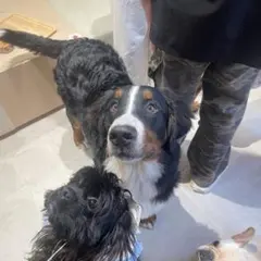 なー様　専用ページ