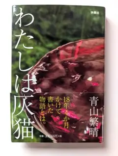 青山繁晴『わたしは灰猫 』（第6刷）