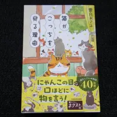 猫がこっちを見る理由