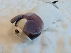 フレンチブルドッグ キャラクターグッズ