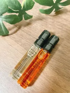 2025年最新】フエギア アマリアの人気アイテム - メルカリ