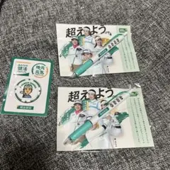 ゴルフプロジェクトグッズセット 天本ハルカ 日本女子プロゴルフ協会