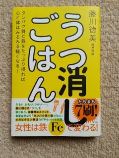 うつ消しごはん タンパク質と鉄をたっぷり摂れば心と体はみるみる軽くなる!