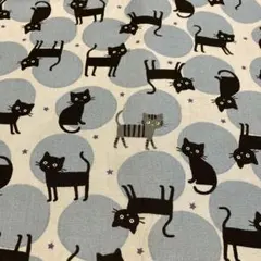 Item thumbnail for item 54064961-c3ab-45fc-8e65-c4a54c3b4b71