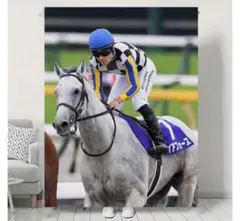 競馬　ガイアフォース　ブランケット　毛布