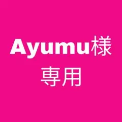 Ayumu様専用ページ