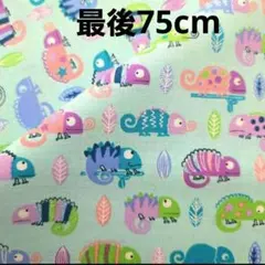 【最後】生地　カメレオン　爬虫類　シーチング　75cm