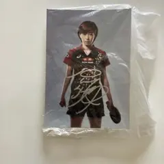 2026年最新】石川佳純 サインの人気アイテム - メルカリ