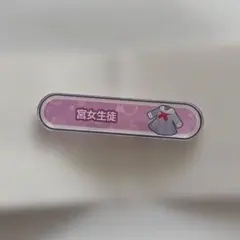 プロセカ アクリル称号バッジコレクション 宫女生徒