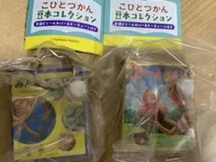こびとづかん 豆本コレクション 2種セット