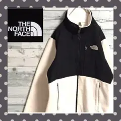 90s 古着ノースフェイスNorth Faceボアポーラテックデナリジャケット