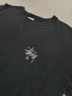レアStussy x Champion Reverse Weave スウェットTのサムネイル