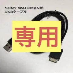 2026年最新】sony ウォークマン nw-zx300の人気アイテム - メルカリ