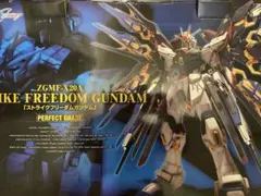 未開封未組立 PG ストライクフリーダムガンダム ガンプラ PG 1/60 ZGMF-X20A ストライクフリーダムガンダム [プラモデル