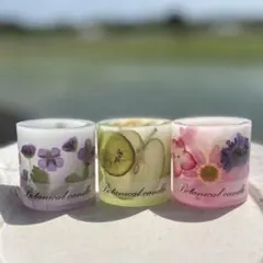 ボタニカルキャンドルミニホルダー3個セット781