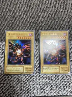 【遊戯王】レッドアイズブラックドラゴン　2枚セット