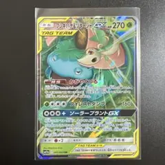 フシギバナ＆ツタージャGX RR SM11a リミックスバウト 001/064
