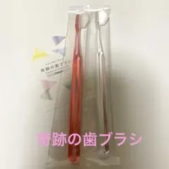 奇跡の歯ブラシ 大人用 ２本〈クリアピンク１・クリア１〉