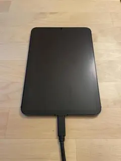 ジャンク iPad mini 6 64GB Cellular 画面不良