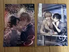 この手を離さないで 2巻 3巻 小冊子 咲本崎 BLコミック