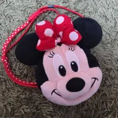 ディズニー　ミニーちゃん パスケース コインケース　TDR　Disney