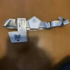 Item thumbnail for item 6c10d1d6-52d9-4446-a03f-401cfde73a5b