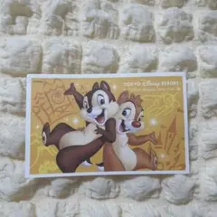 東京ディズニーリゾート チケット 使用済み