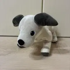 aibo サンアロー ぬいぐるみ