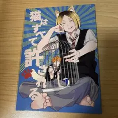 2026年最新】ハイキュー影日同人誌の人気アイテム - メルカリ