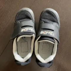 Item thumbnail for item 93fef2ee-57e9-4349-ab21-be625d1ef373