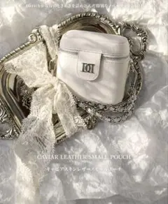 ダーリッチ ノベルティ キャビアスキンレザースモールポーチ