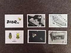 Item thumbnail for item 1619851e-4771-49e2-b75c-6b4bb4e1f89d