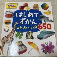 はじめてずかん これな〜に？　650