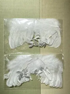 Item thumbnail for item d4181397-84c3-4110-b8ac-17b477fe69a1