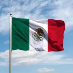 メキシコ 国旗 フラッグ 応援 150cm flag 旗 サッカー インテリア