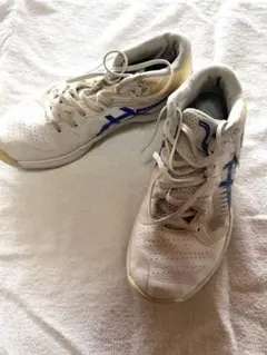 ②アシックス ASICS バスケットシューズ 25.0cm ホワイトブルーメンズ